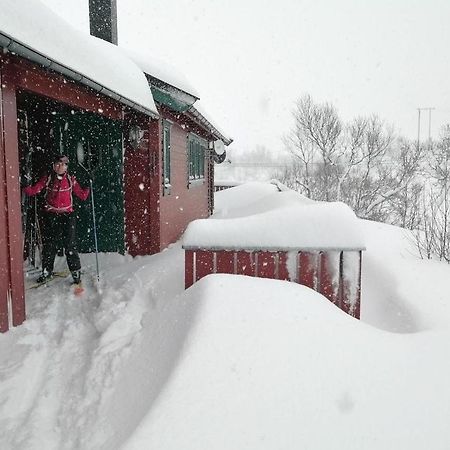 Reinunga Eco Hytta - Mountain Lodge Near Myrdal Accessible Only By Train Or Bike Buitenkant foto