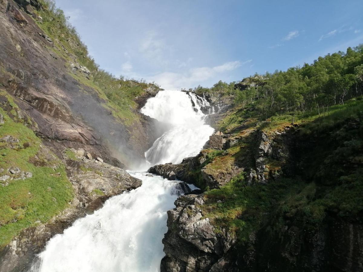 Reinunga Eco Hytta - Mountain Lodge Near Myrdal Accessible Only By Train Or Bike Buitenkant foto