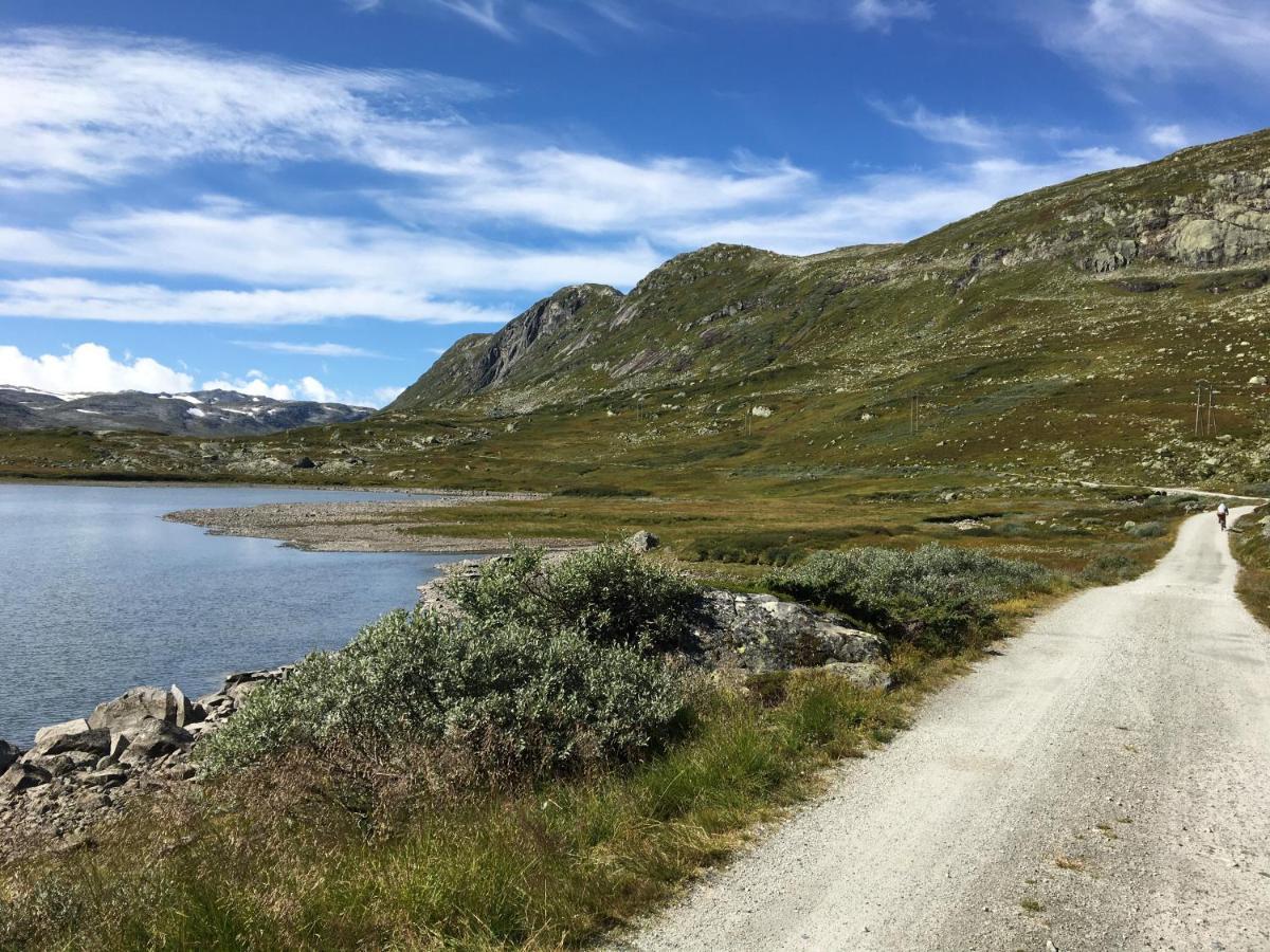 Reinunga Eco Hytta - Mountain Lodge Near Myrdal Accessible Only By Train Or Bike Buitenkant foto