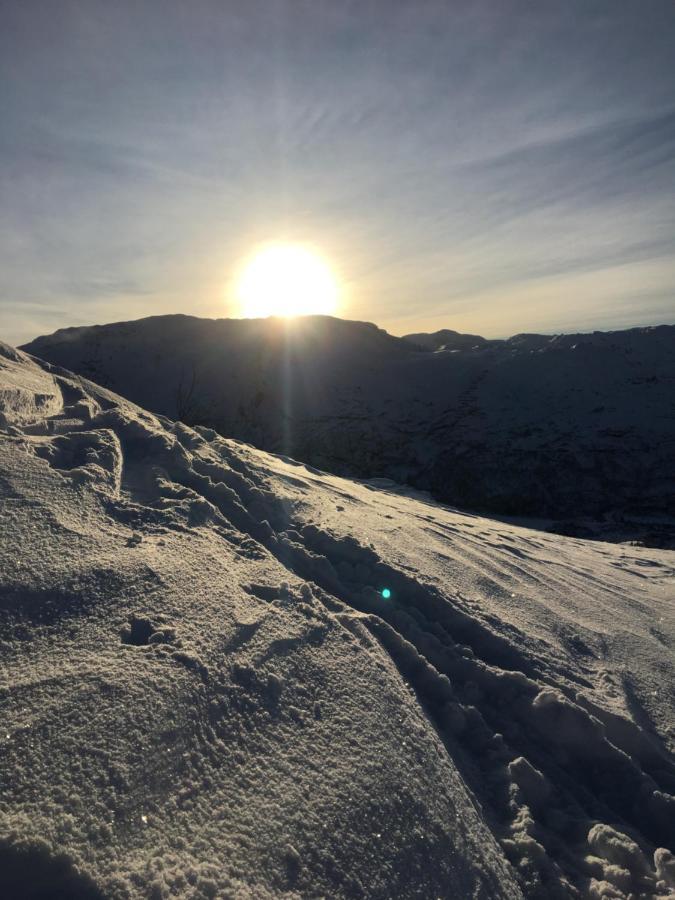 Reinunga Eco Hytta - Mountain Lodge Near Myrdal Accessible Only By Train Or Bike Buitenkant foto