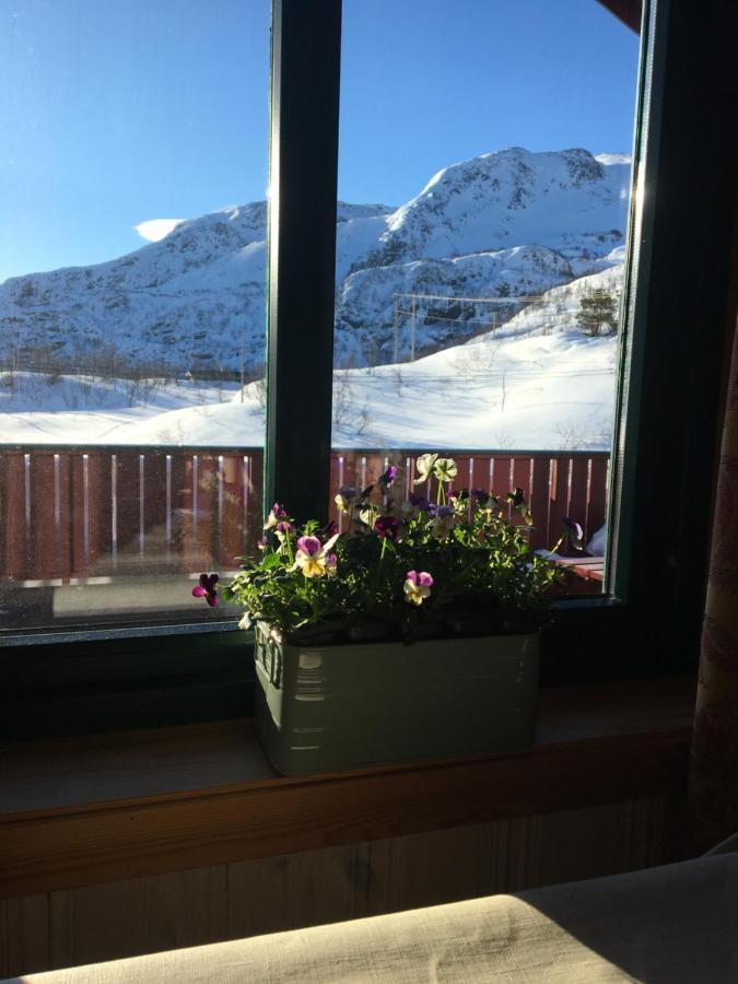 Reinunga Eco Hytta - Mountain Lodge Near Myrdal Accessible Only By Train Or Bike Buitenkant foto