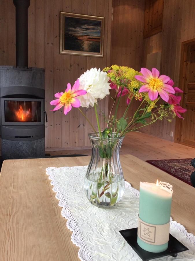 Reinunga Eco Hytta - Mountain Lodge Near Myrdal Accessible Only By Train Or Bike Buitenkant foto