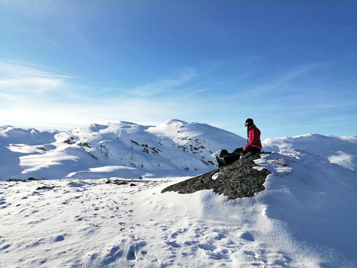 Reinunga Eco Hytta - Mountain Lodge Near Myrdal Accessible Only By Train Or Bike Buitenkant foto