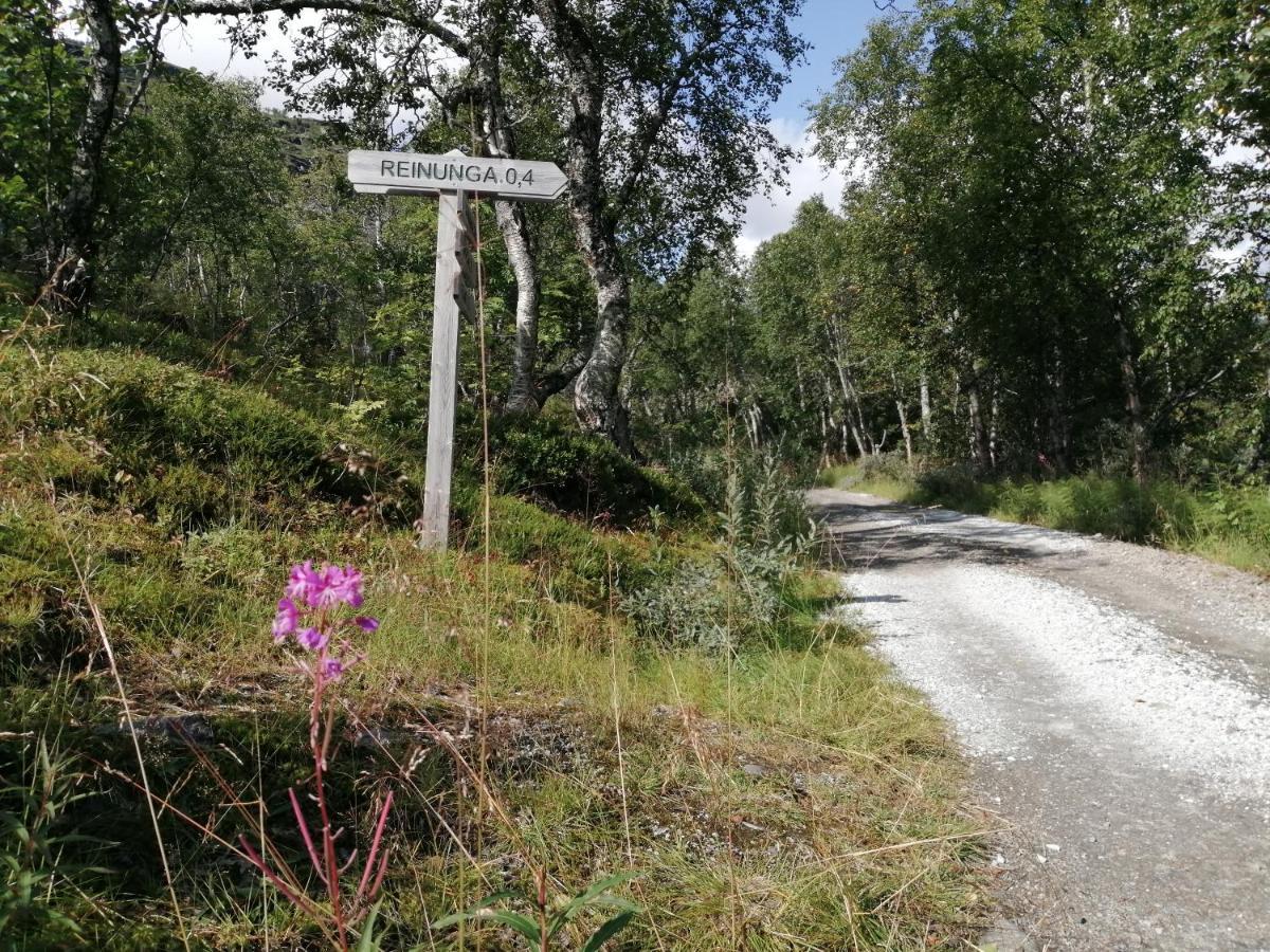 Reinunga Eco Hytta - Mountain Lodge Near Myrdal Accessible Only By Train Or Bike Buitenkant foto