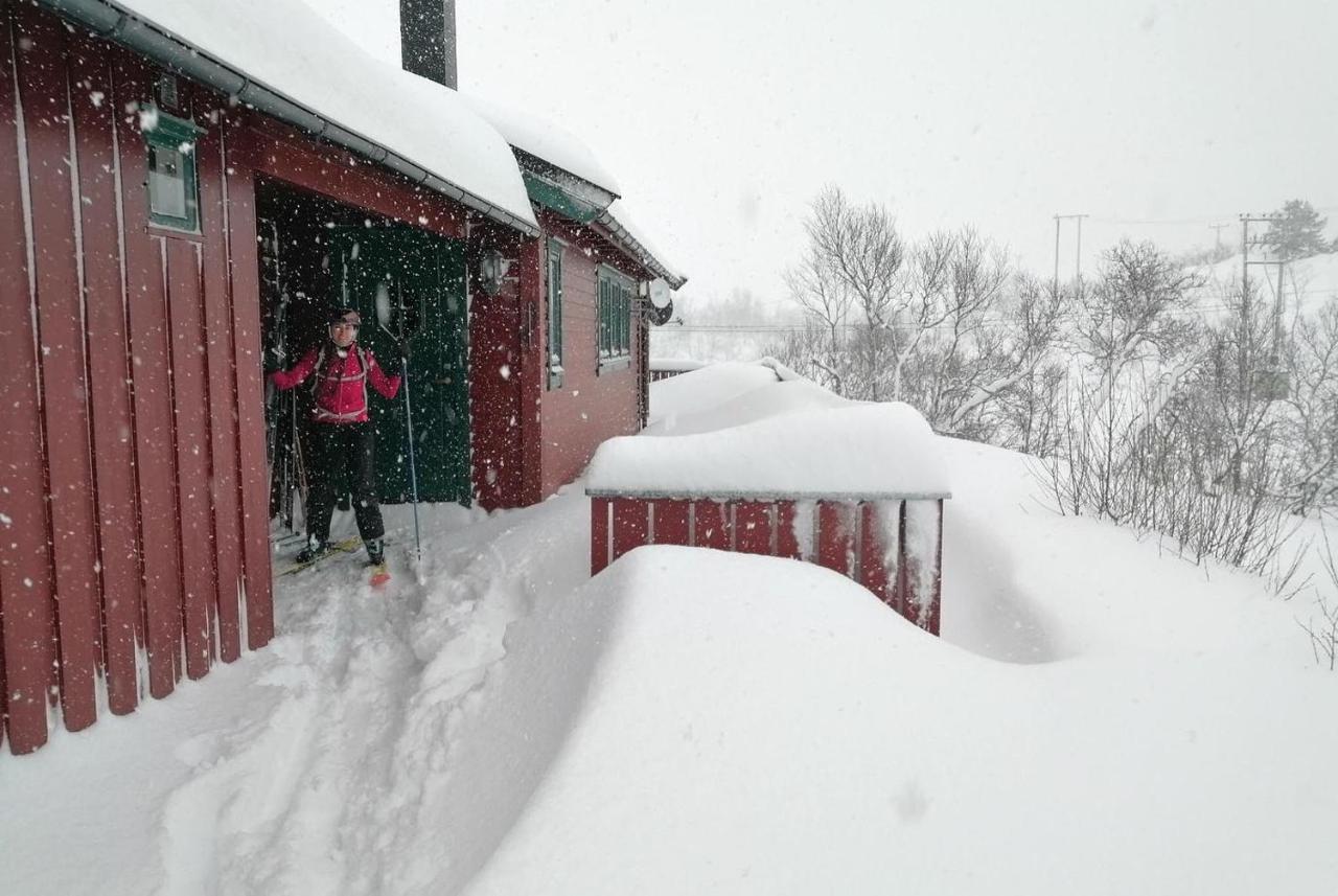 Reinunga Eco Hytta - Mountain Lodge Near Myrdal Accessible Only By Train Or Bike Buitenkant foto