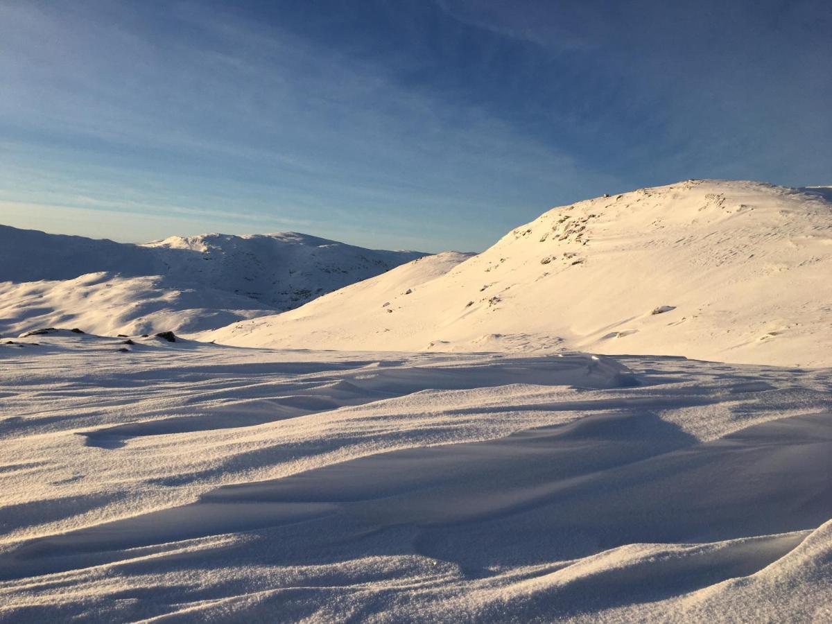 Reinunga Eco Hytta - Mountain Lodge Near Myrdal Accessible Only By Train Or Bike Buitenkant foto